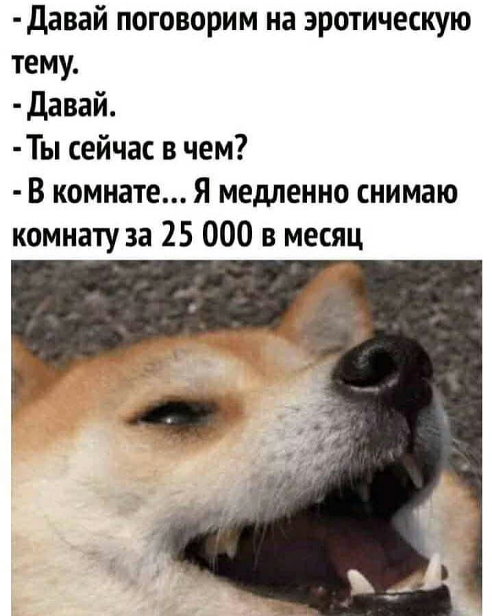 Давай поговорим на эротическую тему давай Ты сейчас в чем В комнате Я медленно снимаю комнату за 25 000 в месяц