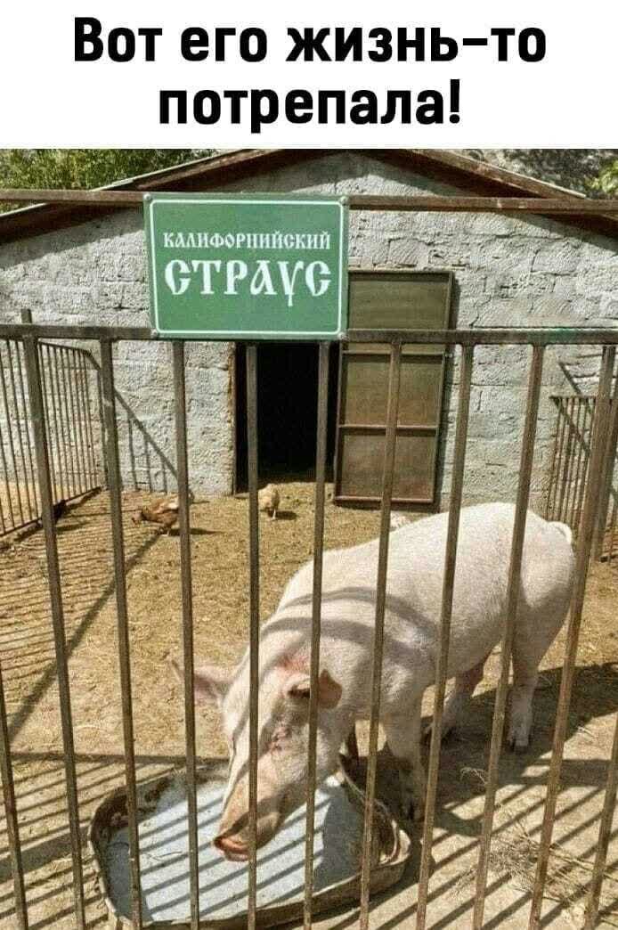 о т _ Ь на ЗП ими же ор гт ео ТП о В