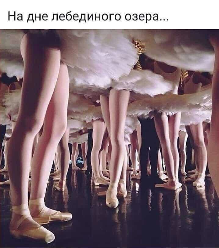 На дне лебединого озера