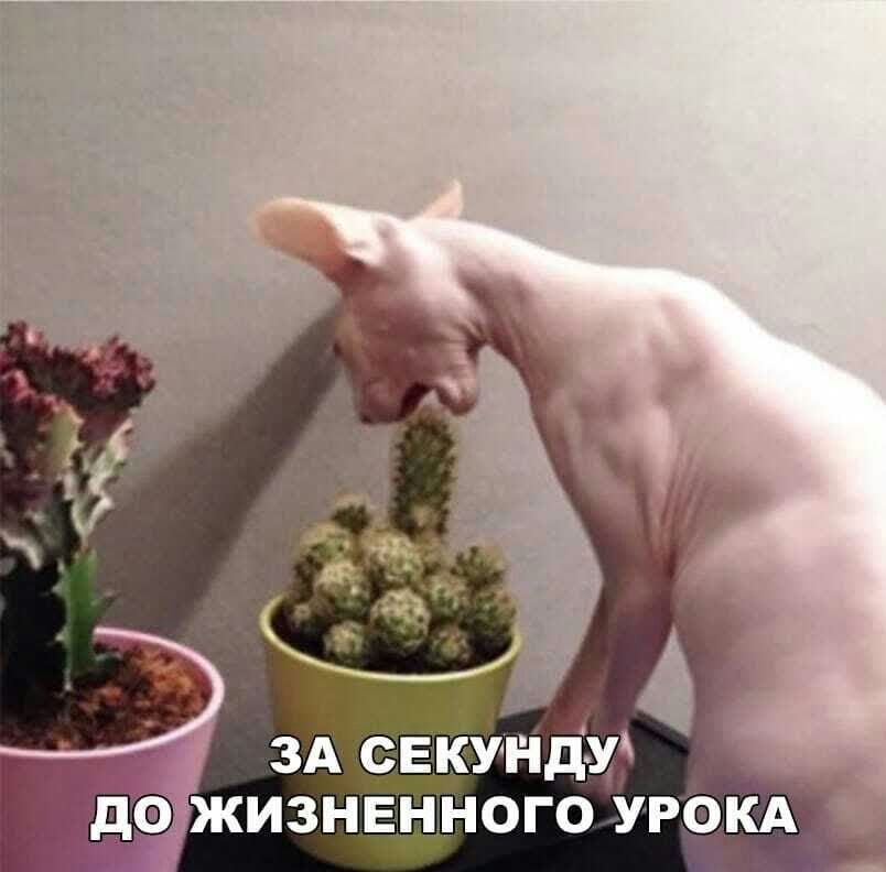 _ гдэ жизненного УРОКА