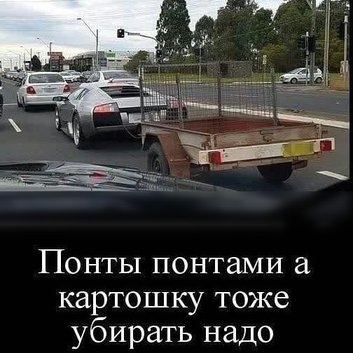 Понты понтаМИ а картошку тоже убирать надо