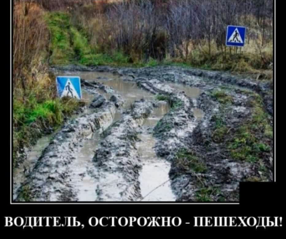 ВОДИТЕЛЬ ОСТОРОЖНО ПЕШЕХОДЫ