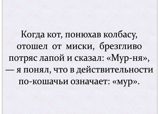 Когда кот понюхав колбасу отошел от миски брезгливо потряс папой и сказал Мур ня я понял что в действительности по кошачьи означает мур