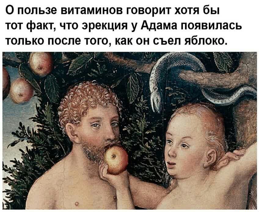 О пользе витаминов говорит хотя бы тот факт что эрекция у Адама появилась ТОЛЬКО после ТОГО как ОН съел ЯбЛОКО