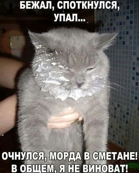БЕЖАЛ СПОТКНУЛСЯ