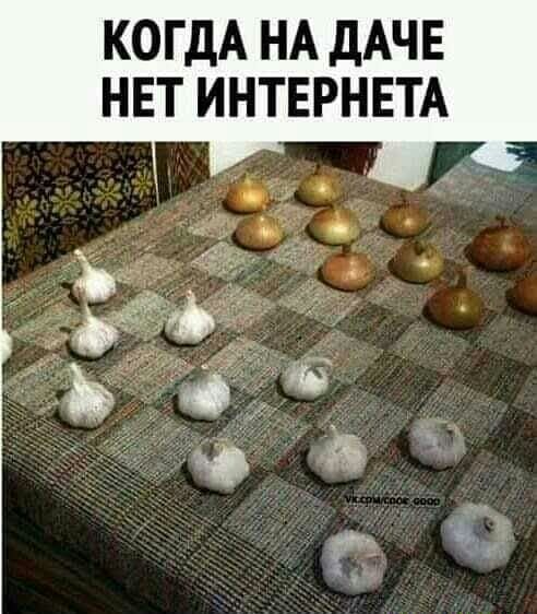 КОГДА НА ДАЧЕ НЕТ ИНТЕРНЕТА