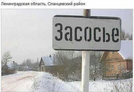 лецимтадщая пбпасгъ пищащий райпи