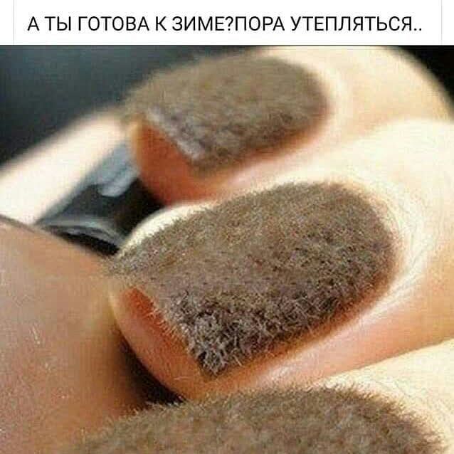 АТЫ КЗИМЕПОРА УТЕПЛЯТЬСЯ