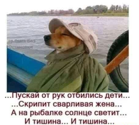 ускаи от рук отипись дети Скрипит сварливая жена А на рыбалке солнце светит И тишина И тишина