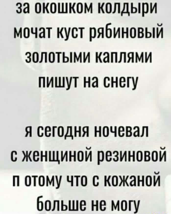 за окошком колдыри мочат куст рябиновый золотыми каплями пишут на снегу я сегодня ночевал с женщиной резиновой п отому что с кожаной больше не могу