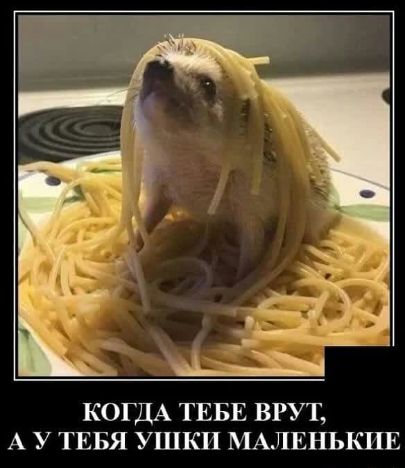 КОГДА ТЕБЕ ВРУТ А У ТЕБЯ УШКИ МАЛЕНЬКИЕ