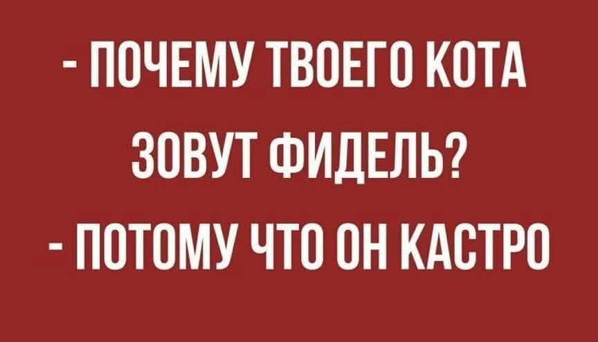 ПОЧЕМУ ТВОЕГО КОТА ЗОВУТ ФИДЕЛЬ ПОТОМУ ЧТО ОН КАОТРО