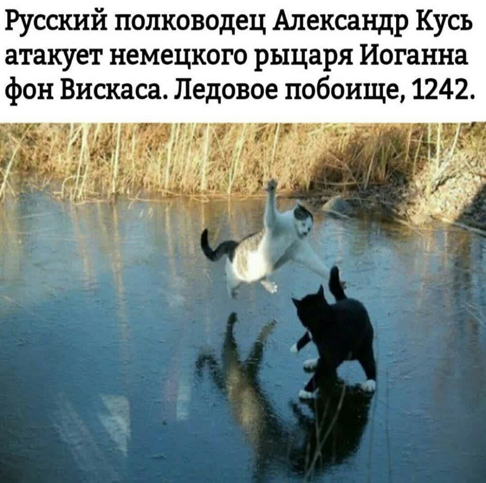 Русский полководец Александр Кусь атакует немецкого рыцаря Иоганна фон Вискаса Ледовое побоище 1242
