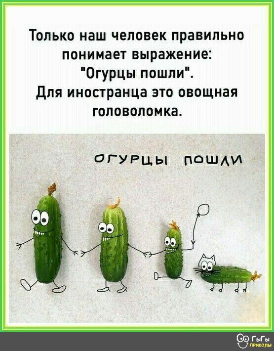 Только наш человек правильно понимает выражение 0гурцы пошпи Для иностранца это овощная головоломка ОГУРЦЫ ПОШАИ