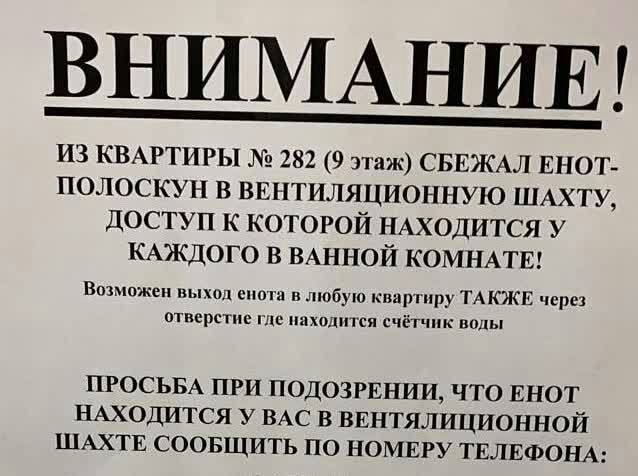 ВНИМАНИЕ из КВАРТИРЫ 282 9 этаж СБЕЖАЛ ЕНОТ полоскун в ВЕНТИЛЯЦИОННУЮ ШАХТУ доступ к которой НАХОДИТСЯ у КАЖДОГО в ВАННОЙ КОМНАГЕ Вожможеп выход смог в любую квартиру ТАКЖЕ чере отверстие где находится счё гчпк шшы ПРОСЬБА ПРИ ПОДОЗРЕНИИ ЧТО ЕНОТ НАХОДИТСЯ У ВАС В ВЕНТЯЛИЦИОННОЙ ШАХТЕ СООБЩИТЬ ПО НОМЕРУ ТЕЛЕФОНА