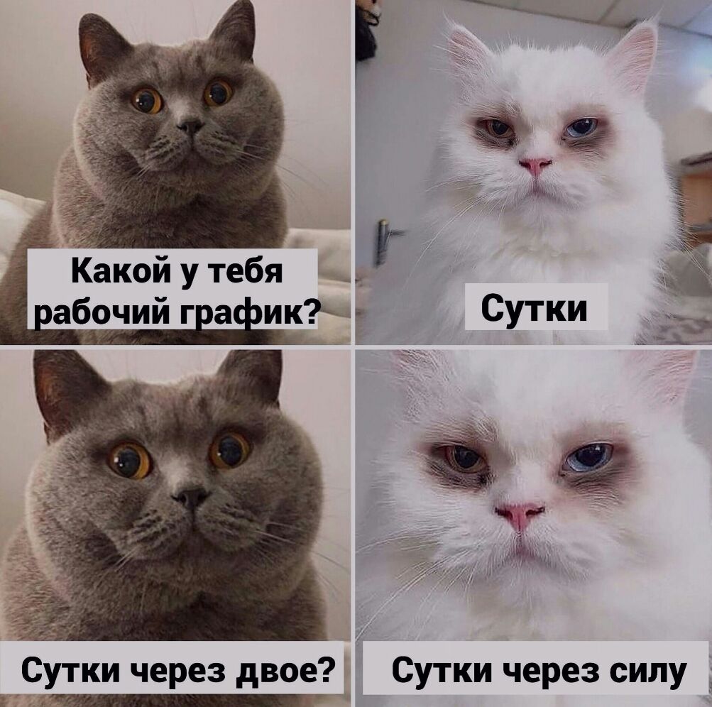 Сутки через двое Сутки через силу _ _
