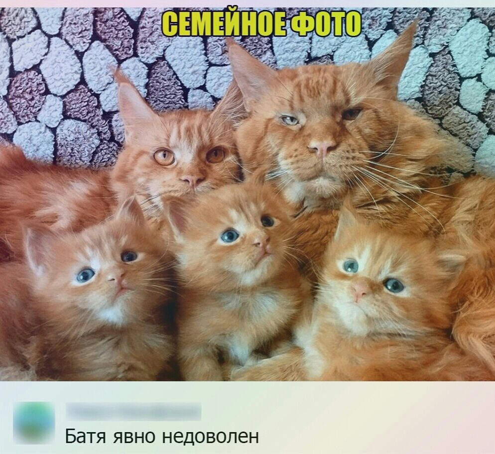 Н 6 п О В 0 д е Н О Н В Я Я Т а 5