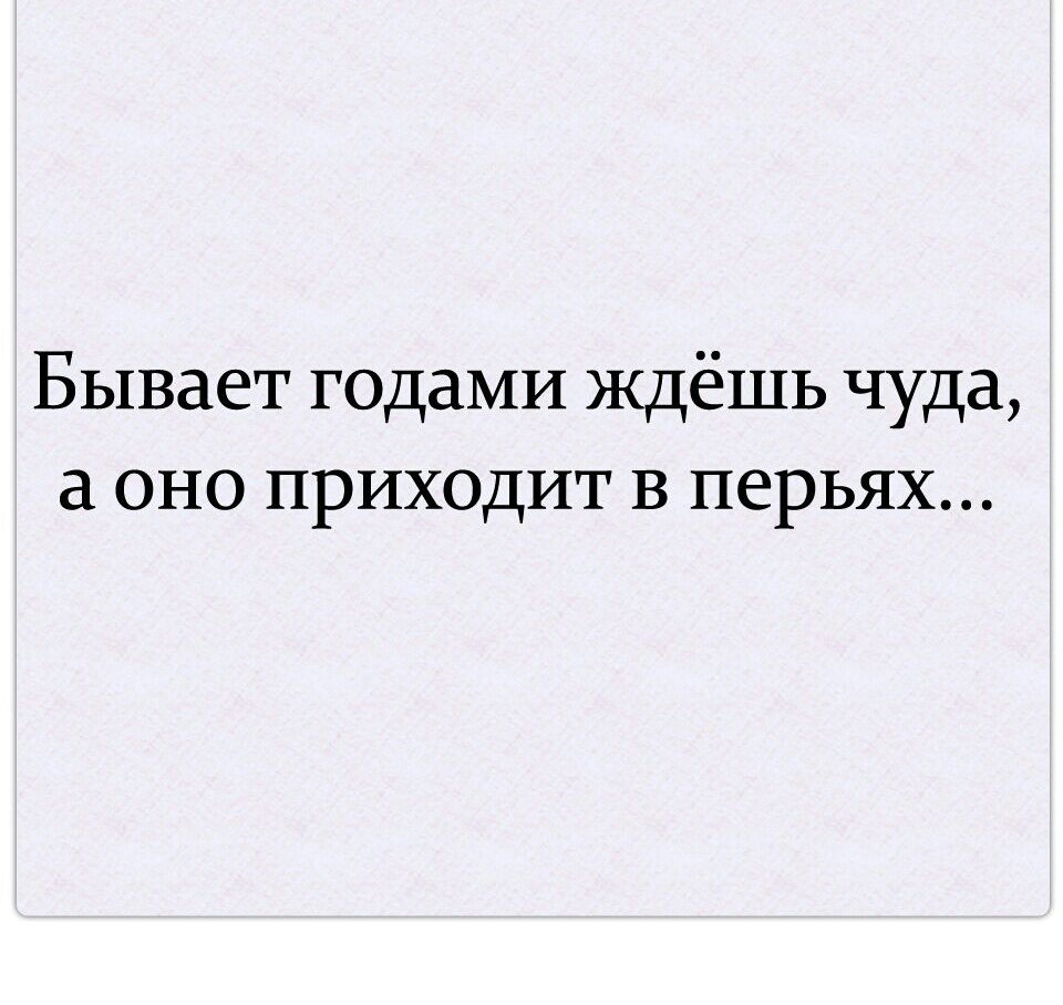 Бывает годами ждёшь чуда а оно приходит в перьях