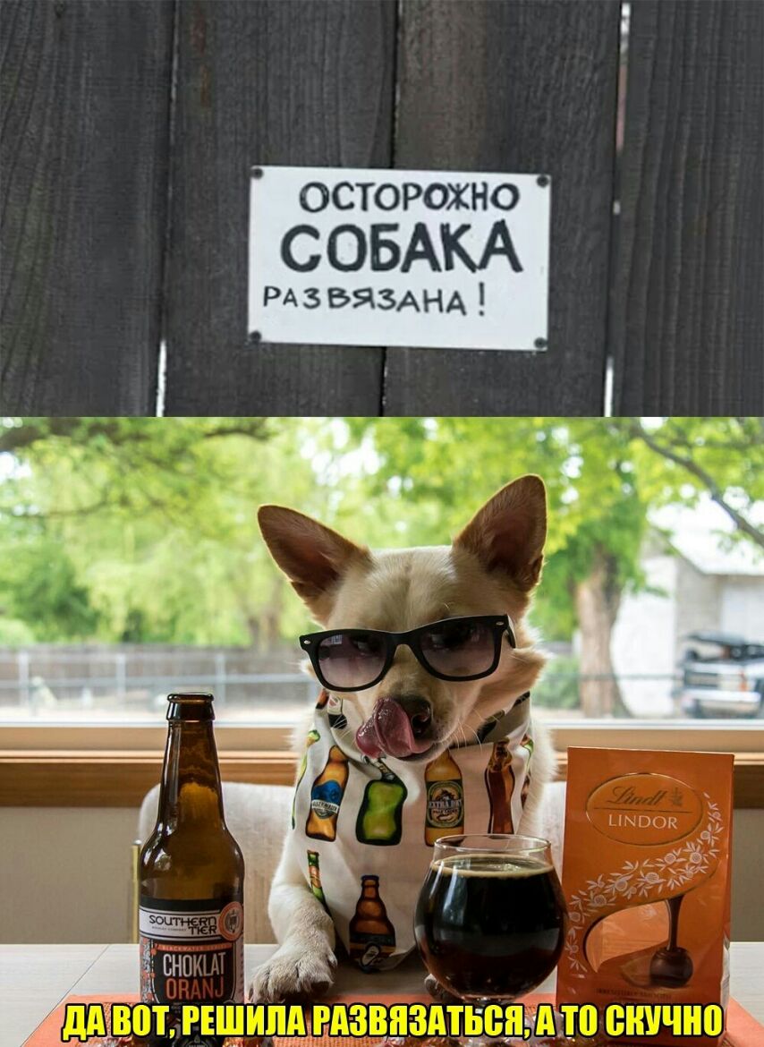 осторожно СОБАКА рдзвязАнА