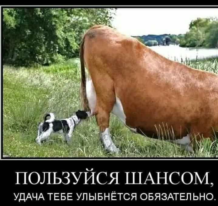 пользуйся ШАНСОМ УДАЧА ТЕБЕ УЛЫБНЁТСЯ ОБЯЗАТЕЛЬНО