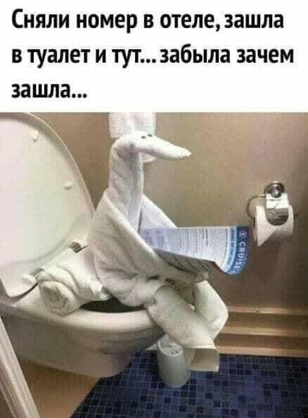Сняли номер в отеле зашла в туалет и тут забыла зачем зашла