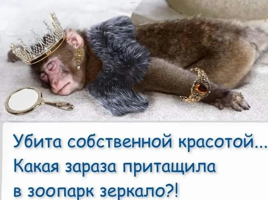 Убита собственной красотой Какая зараза притащила в зоопарк зеркало