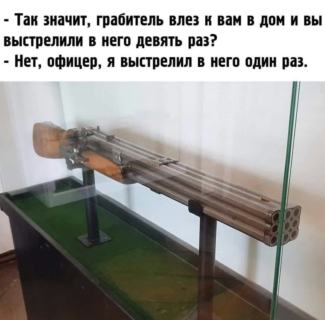 Так значит грабитель влез и вам в дом и вы выстрелили в него девять раз Нет офицер я выстрелил в него один раз