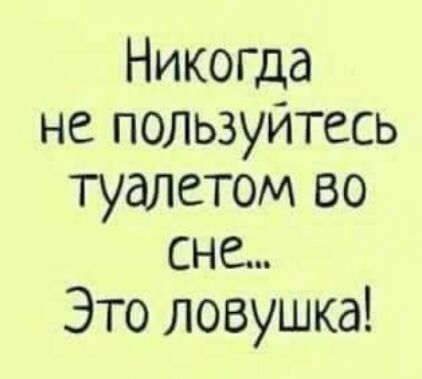 Никопца не пользуйтесь туалетом во сне Это ловушка