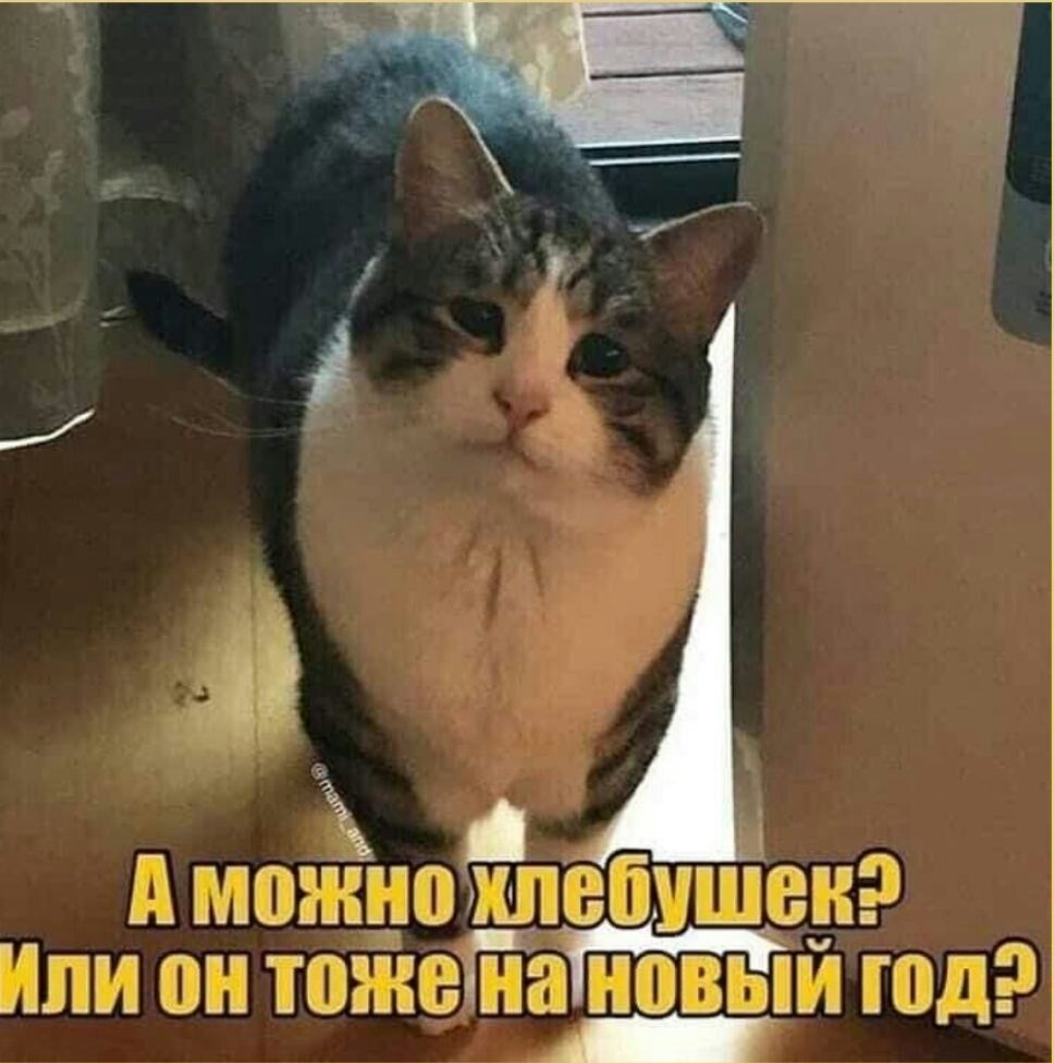 А мощоЁлебтеуэ Или он тоже нановыи юд