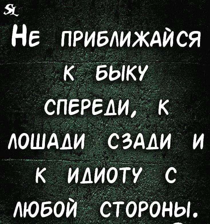 Я Не привлиждися спереди АОШААИ ами и идиот с АЮБОИ стороны