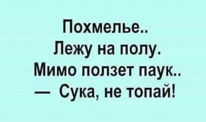 Похмелье Лежу на полу Мимо ползет наук Сука не топай