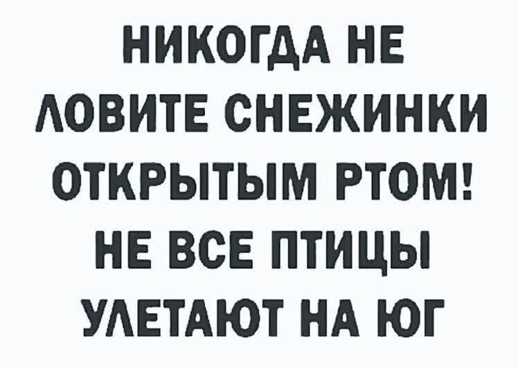 НИКОГДА НЕ АОВИТЕ СНЕЖИНКИ ОТКРЫТЫМ РТОМ НЕ ВСЕ ПТИЦЫ УАЕТАЮТ НА ЮГ