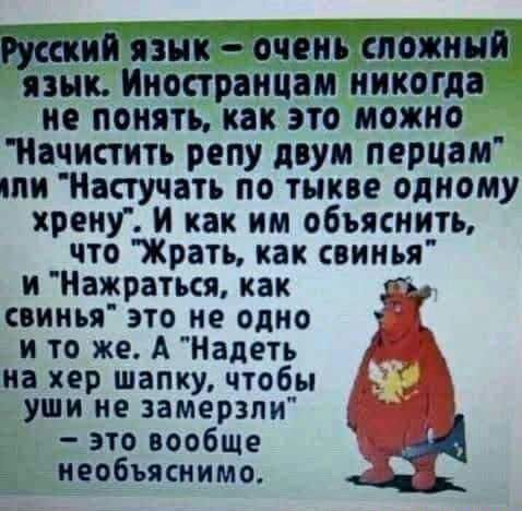 Русский язык  очены сложный язык. Иностранцам никогда не понять, как это можно 