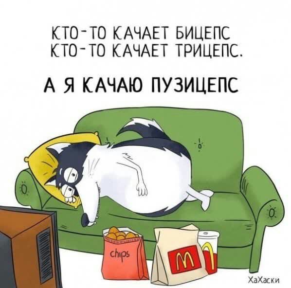 КТО ТО КАЧАЕТ БИЦЕПС КТОТО КАЧАЕТ ТРИЦЕПС А Я КАЧАЮ ПУЗИЦЕПС