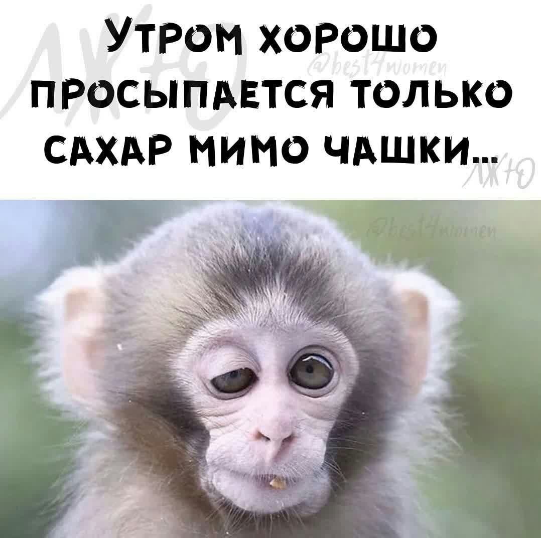 Уттром хорошо просыпается только сахар мимо чашки...