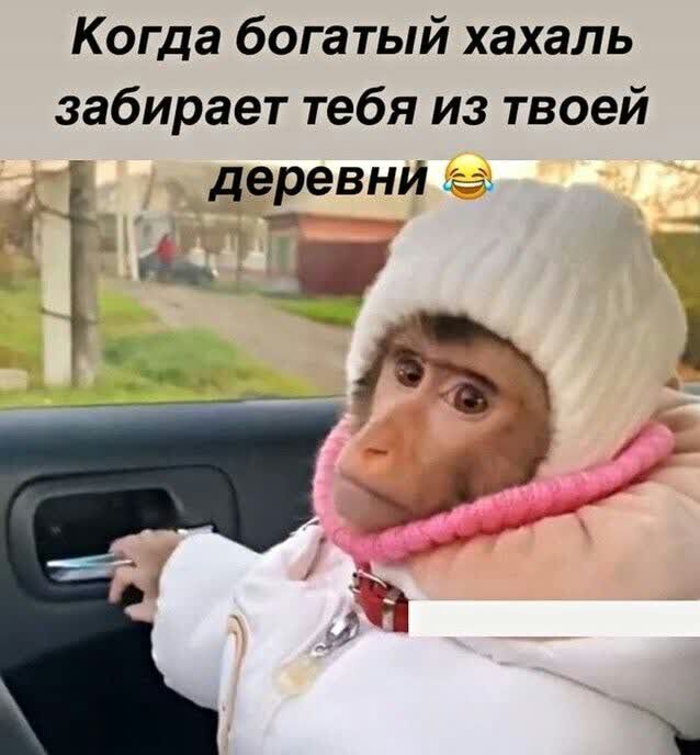 Когда богатый хахаль забирает тебя из твоей  деревни