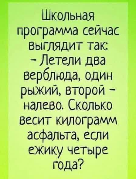 Школьная программа сейчас выглядит так:  летели два верблюда, один рыжий, второй  налево. Сколько весит килограмм асфальта, если ежику четыре года?