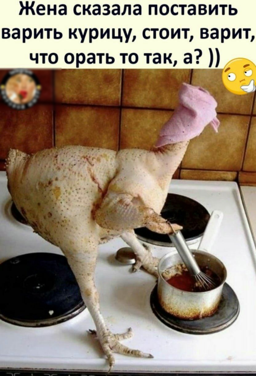 Жена сказала поставить варить курицу стоит варит что орать то т ака г
