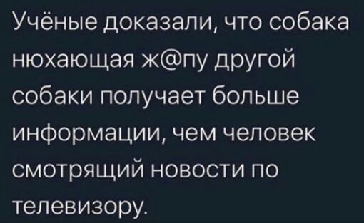 Учёные доказали что собака нюхающая жпу другой собаки получает больше информации чем человек смотрящий новости по телевизору
