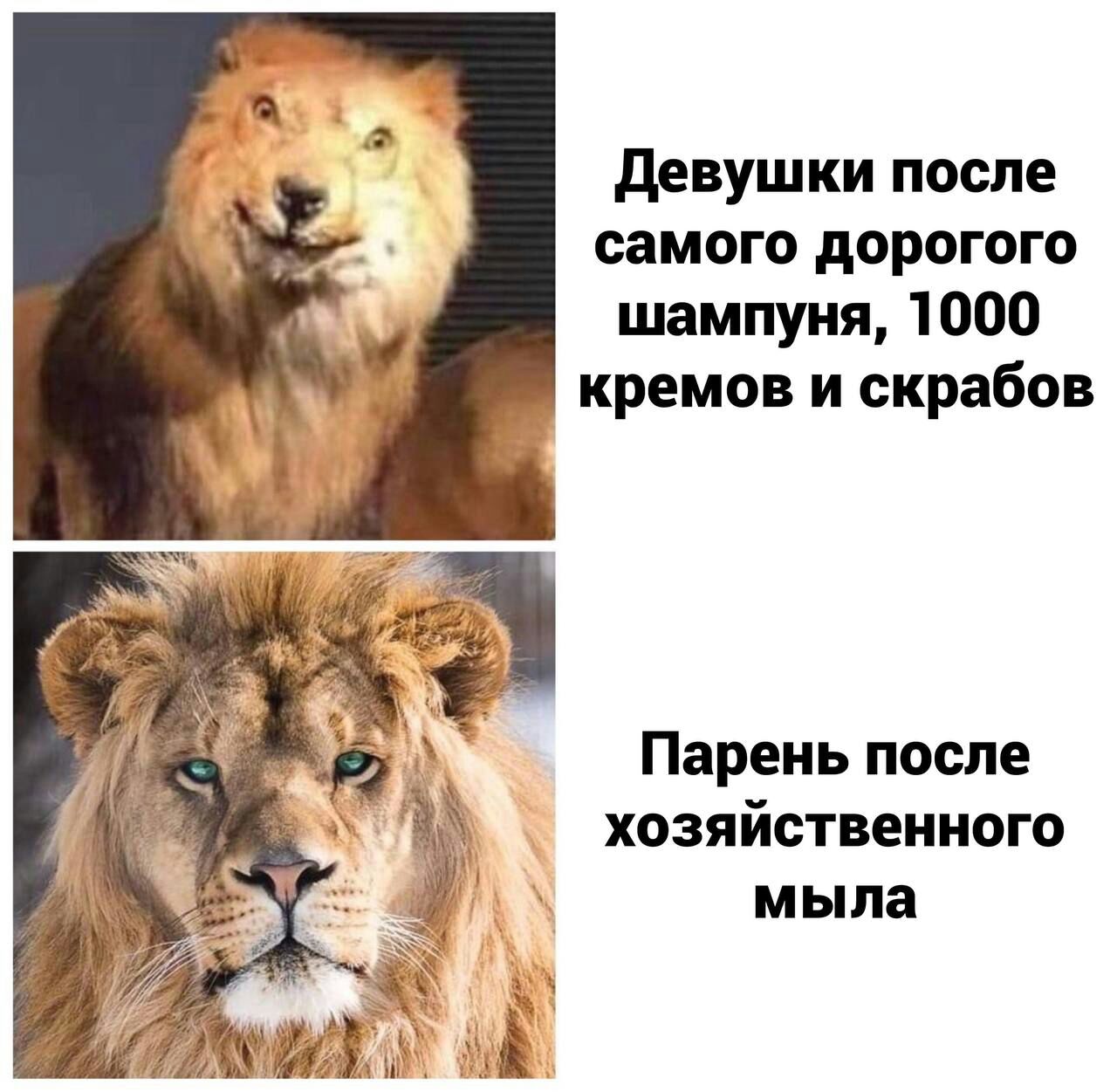 девушки после самого дорогого шампуня 1000 кремов и скрабов Парень после хозяйственного мыла