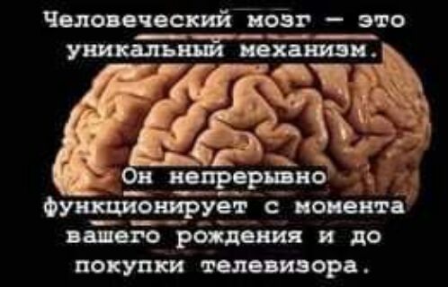 Человеческий поег это ч фунщгТонірЁ с до ша дГО рт до покупки пастора