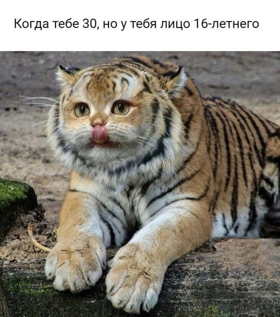 Когда тебе 30 но у тебя лицо 16 летнего