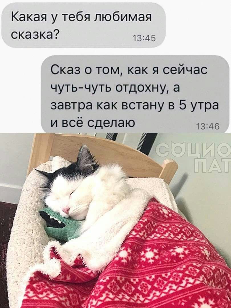 Какая у тебя любимая сказка 1345 Сказ о том как я сейчас чутьчуть отдохну а завтра как встану в 5 утра и всё сделаю 1346 з УЧ ЁА