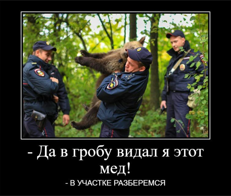 мед В УЧАСТКЕ РАЗБЕРЕМСЯ Да в гробу видал я этот