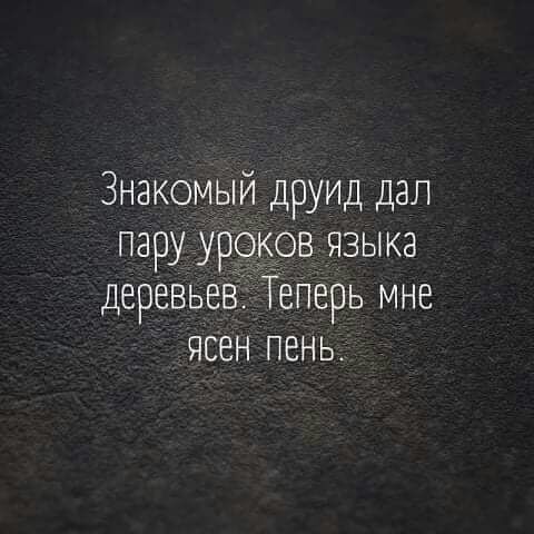 Знакомый друид дал пару урокрв языка деревьевіТеПерь мне ясен пень