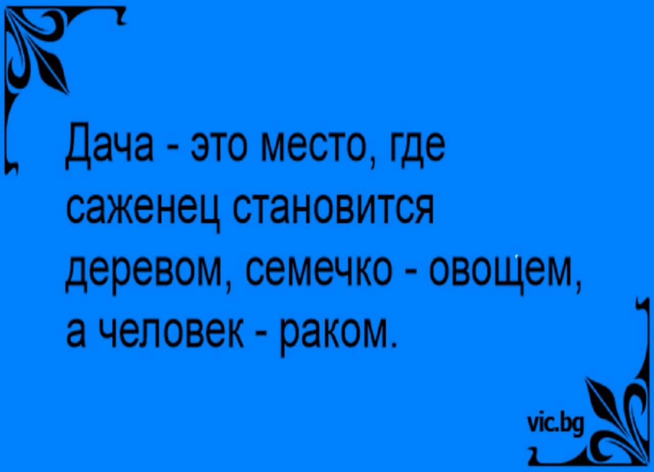 дача атс место где 147 становится деревом семечко овощам а человек раком