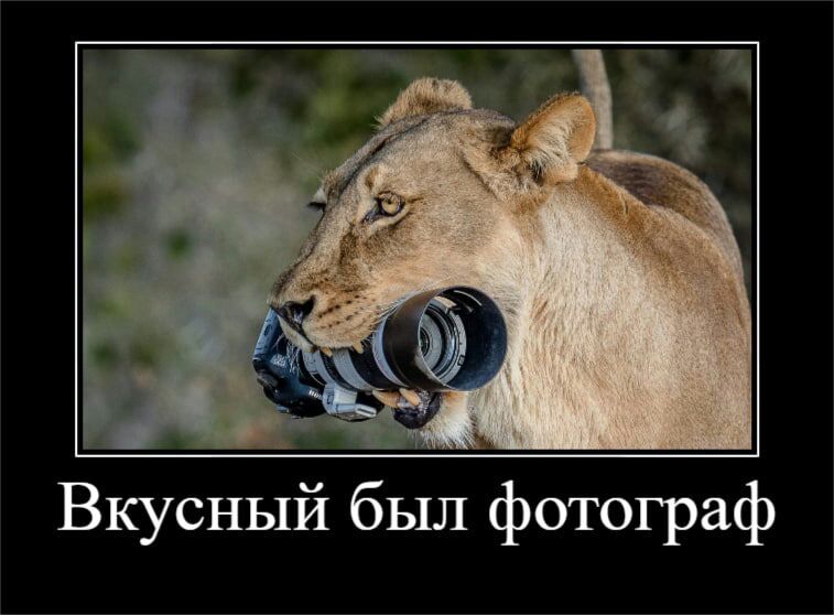 Вкусный был фотограф