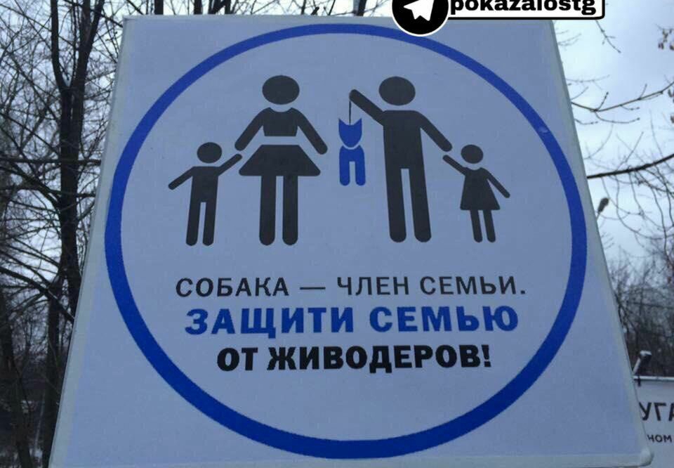 _Ш ЛИ Н ЛЛ рокиа05і3 11 СОБАКА ЧЛЕН СЕМЬИ тдгиш СЕШЬЪЪ от живодвгоы 41
