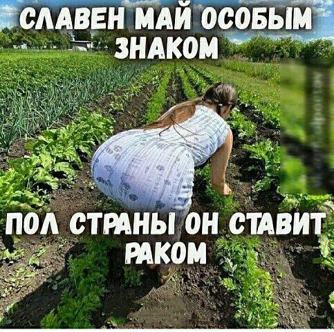 ГедТвыиА й осовы Ь зндкои