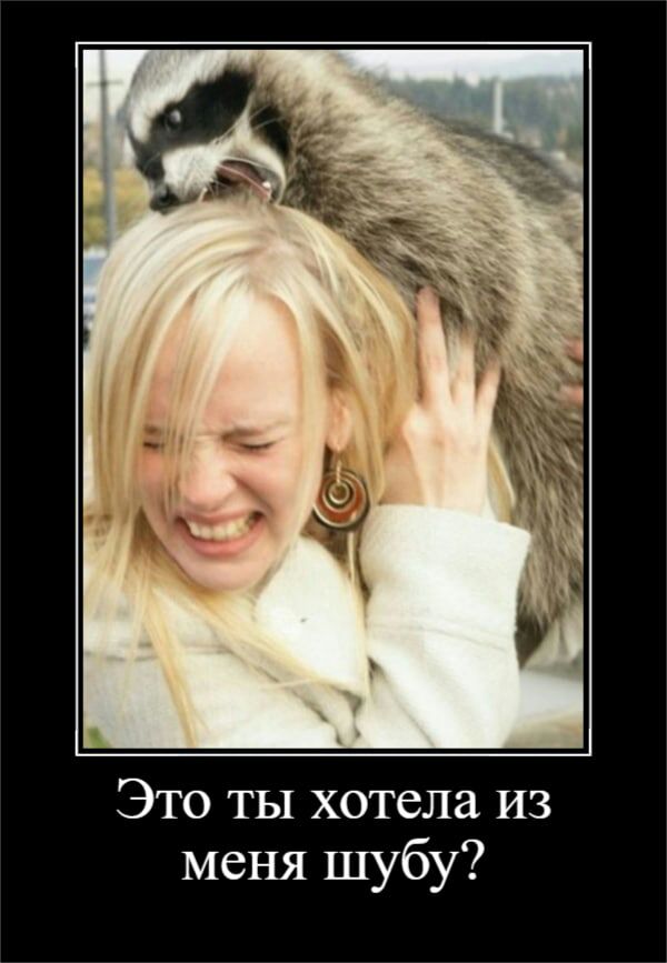 Это ты хотела из меня шубу